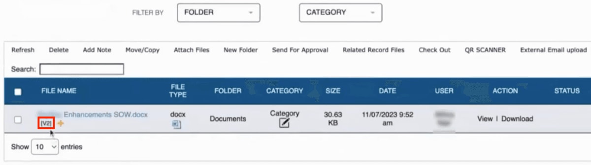 NetSuite page showing the file version highlighted.