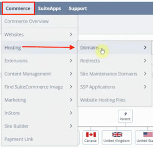 NetSuite navigation from hosting to domains page.