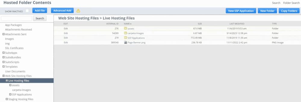 NetSuite file cabinet page with live hosting files.