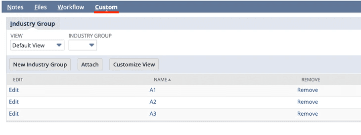Industry Group page under the Custom tab on NetSuite.