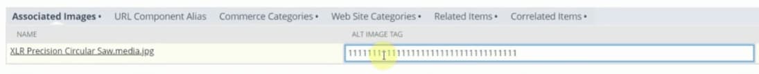 ALT Image tag character limit example.
