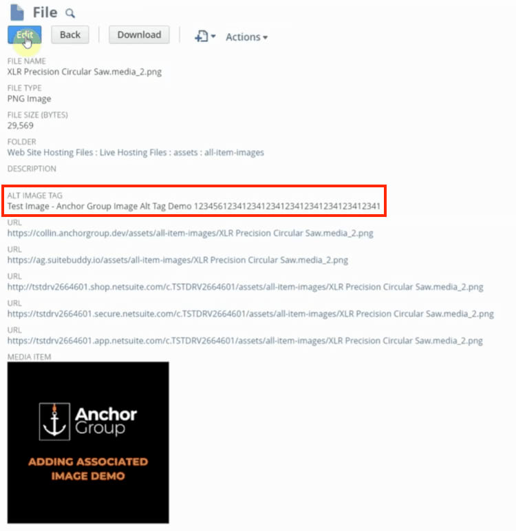 How to edit NetSuite image file ALT tags.