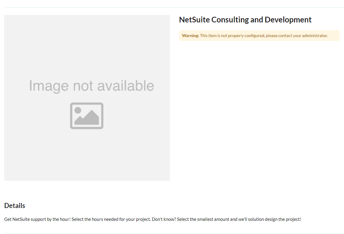 NetSuite Consulting and Development page with an error item to fix.