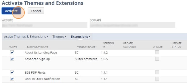 Activate Themes and Extensions NetSuite