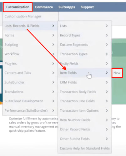 NetSuite navigation customization lists record fields.