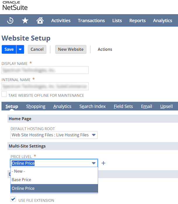 NetSuite website setup record price level online.