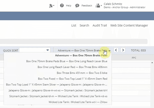 NetSuite dropdown list navigation expanded.