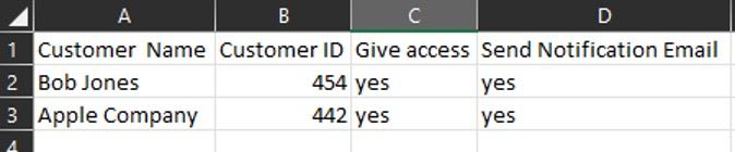 Customer access CSV template.