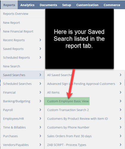 NetSuite reports saved searches custom employee basic view.