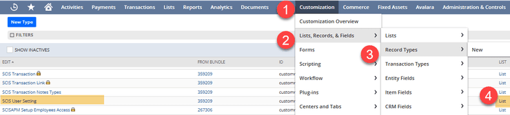 NetSuite customization lists records fields types scis.