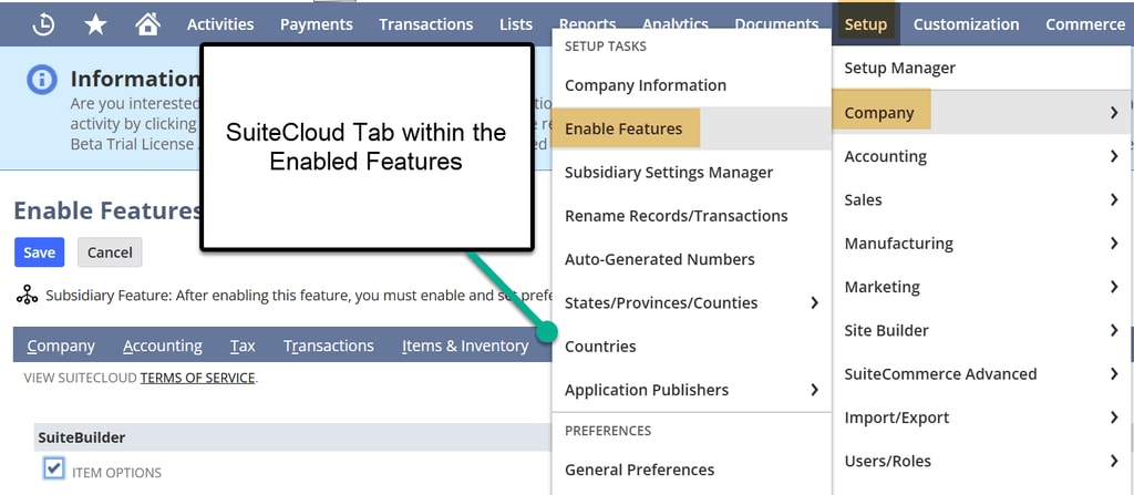 NetSuite setup company enable features SuiteCloud tab.