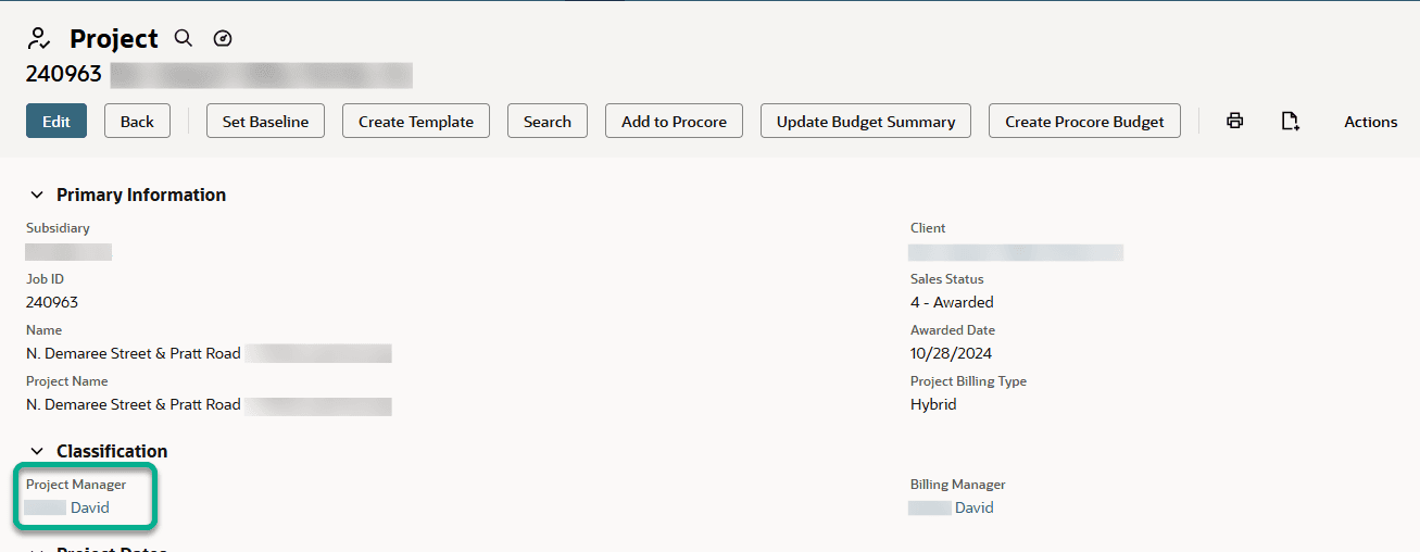 NetSuite project primary information classification project manager.