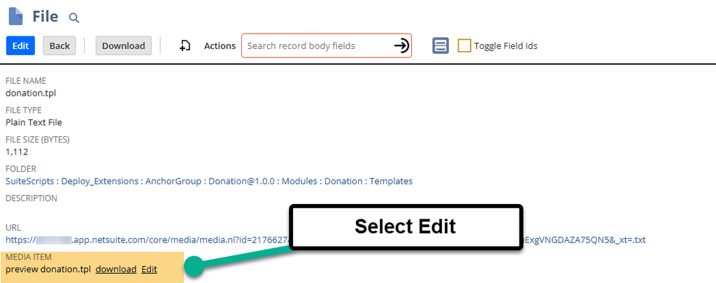 NetSuite file media item select edit.