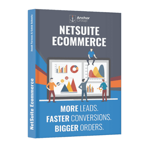 NetSuite Ecommerce book with white background.