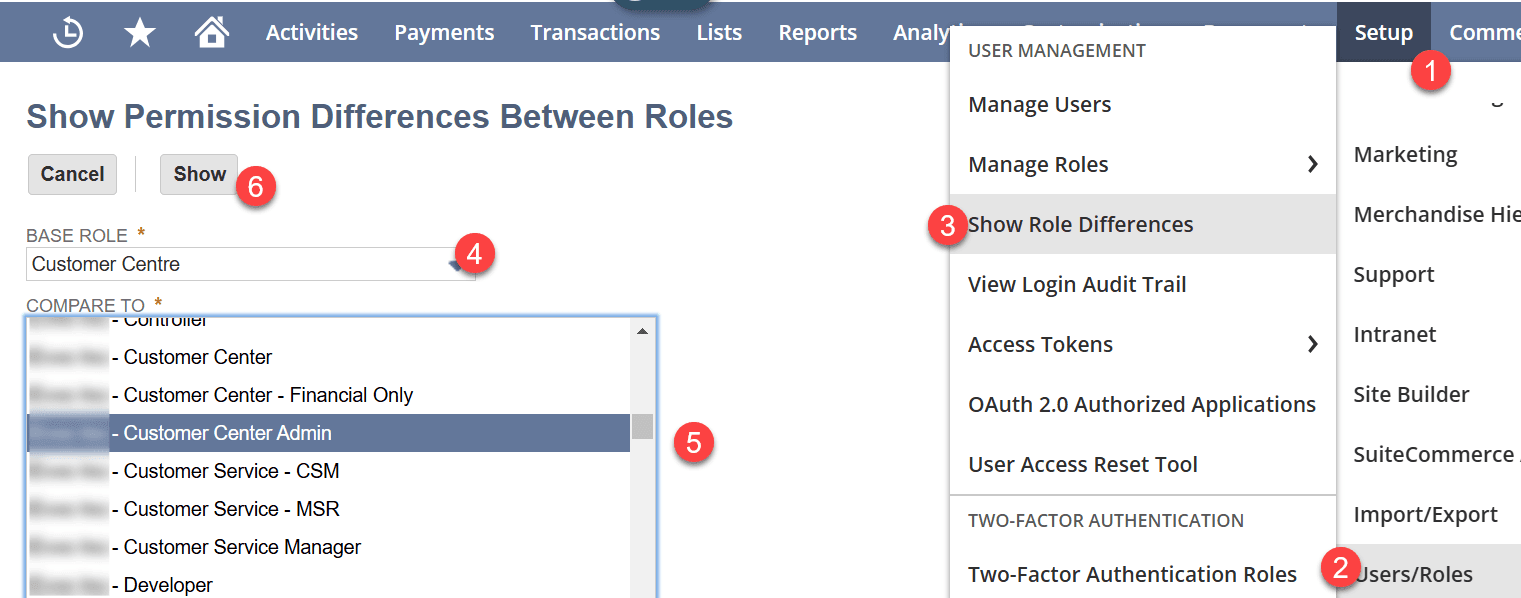 NetSuite setup users roles show role differences base.