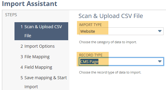 Import assistant import type website record type CMS page.