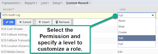 NetSuite custom record level.