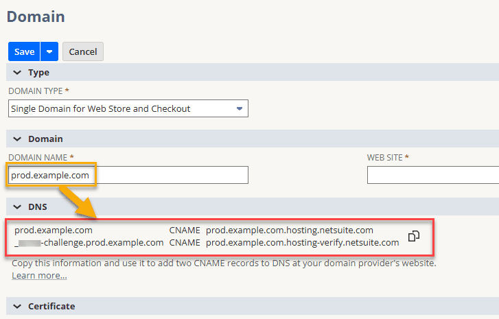 NetSuite record domain name.