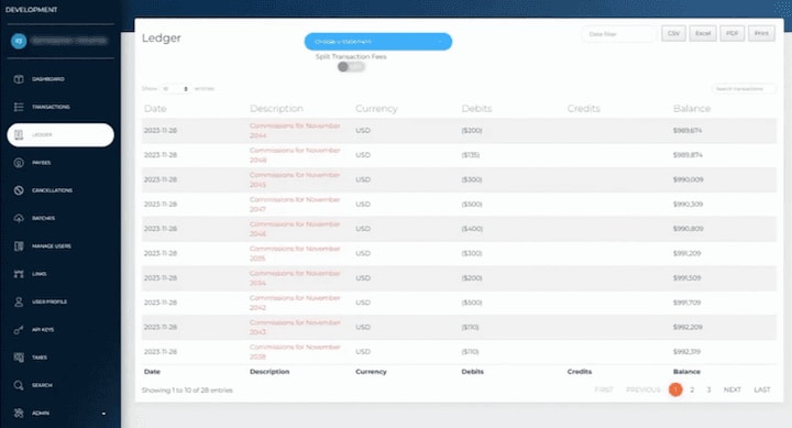 Payer ledger screenshot.