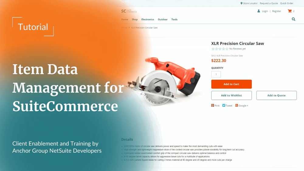 Item data management interface for SuiteCommerce, showcasing data organization and analytics features.