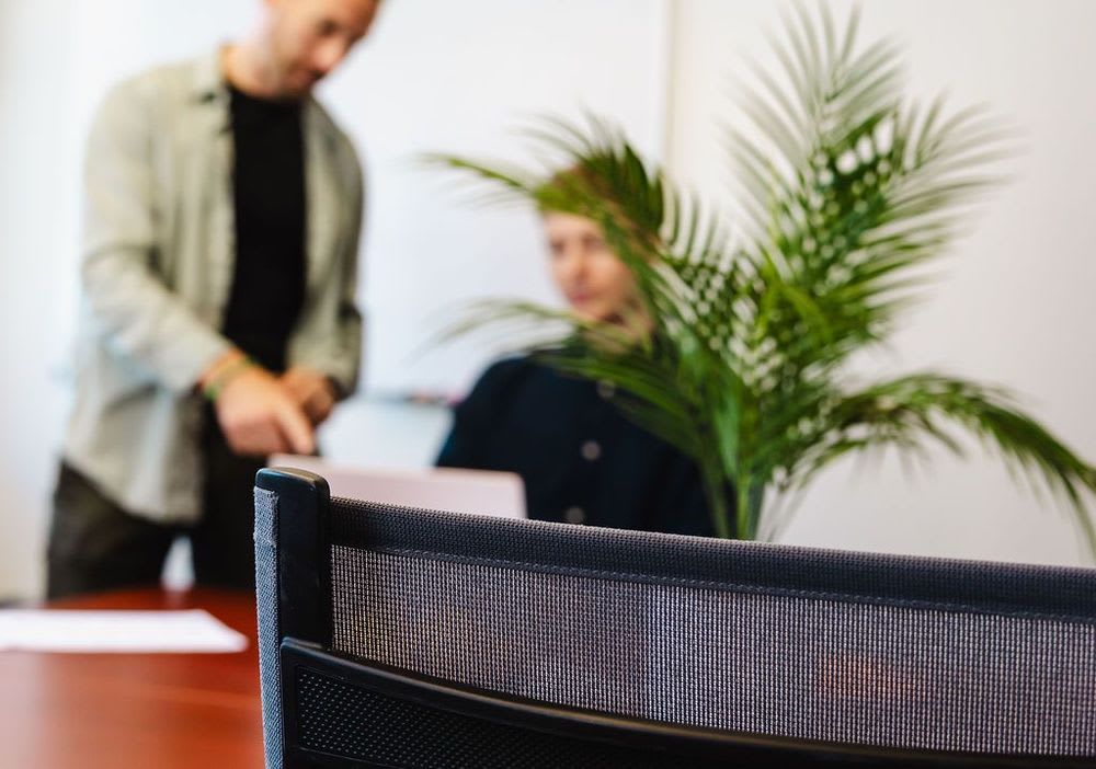 Two people collaborating while obscured by a plant and the back of a nearby chair, and out of focus.