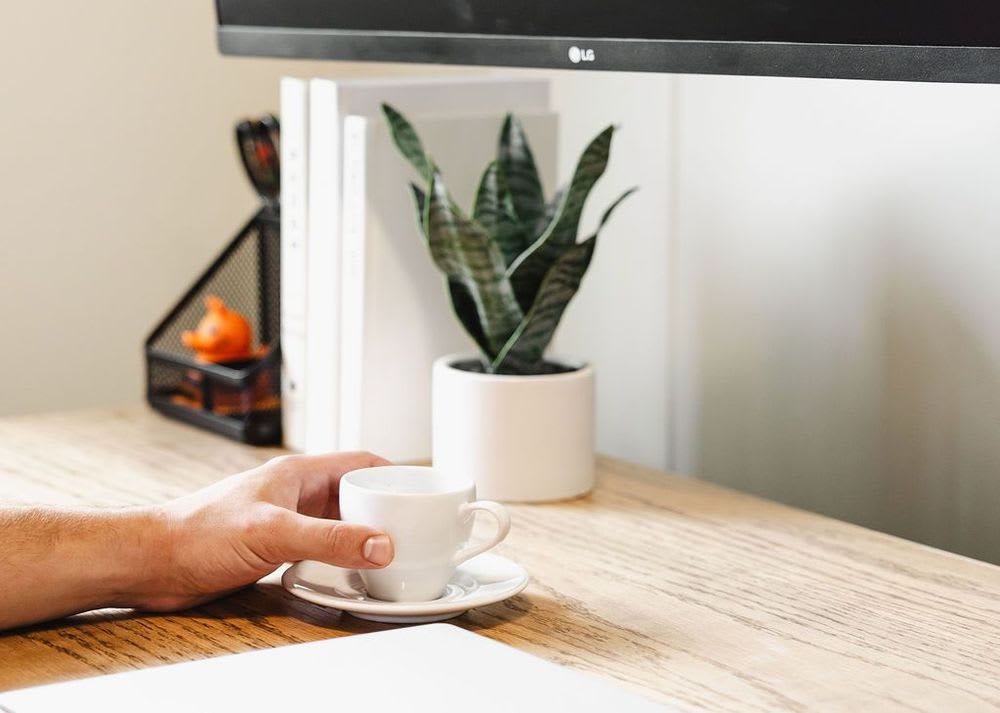 A person holding a white coffee cup before a plant.