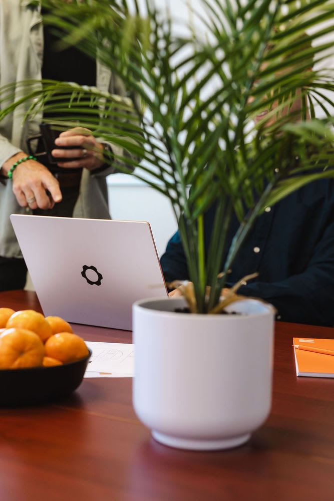 A person working on his laptop behind a plant and a bowl of fruit.