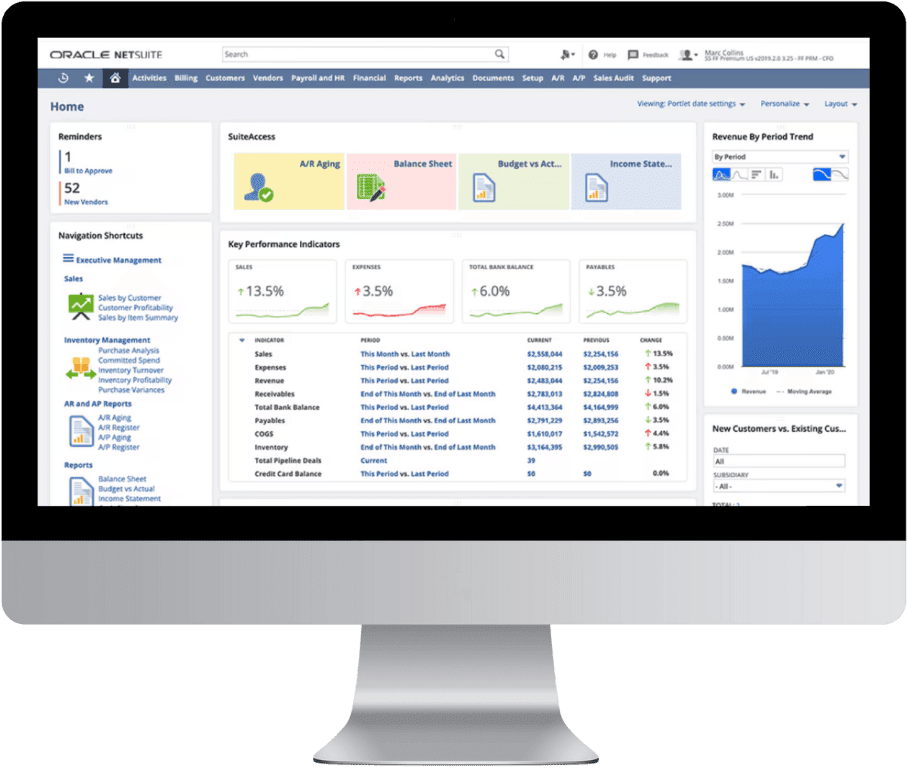 NetSuite dashboard mockup.