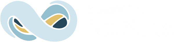 netsuite logo half dark