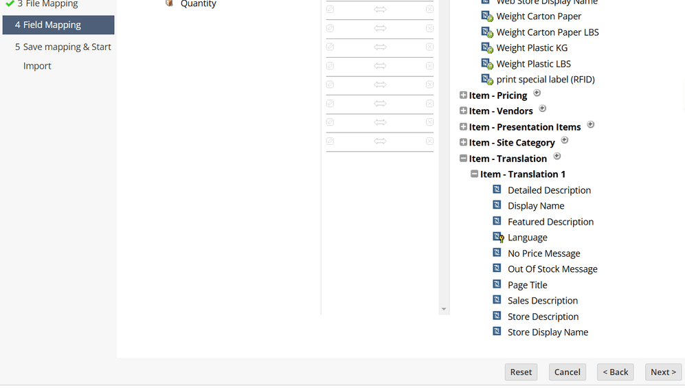 NetSuite CSV field mapping.