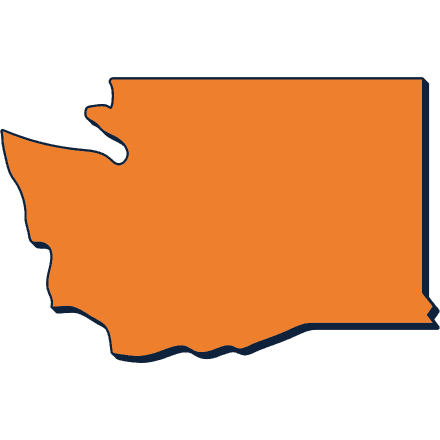 washington icon