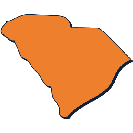 south carolina icon