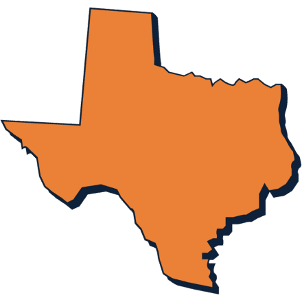 texas icon