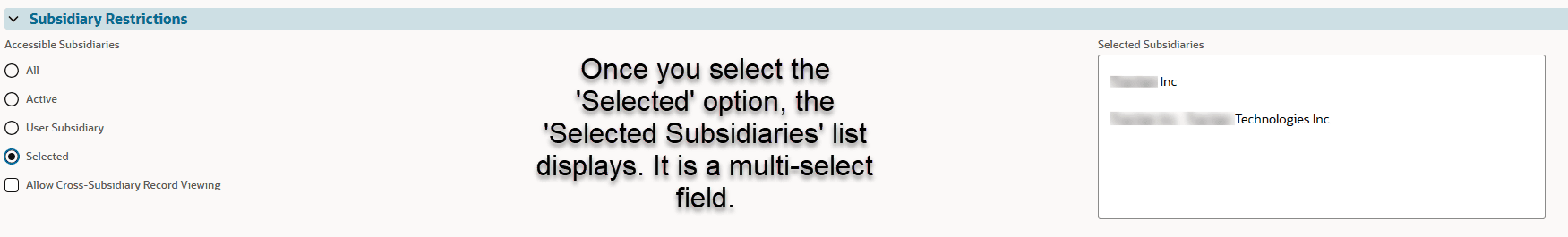subsidiary_restrictions_selected_subsidiaries.png