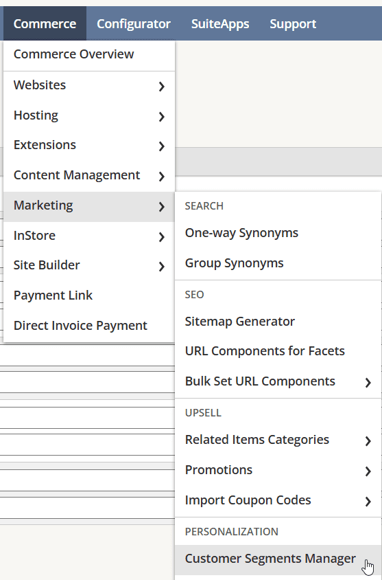 Tab path to the Customer Segments Manager page.