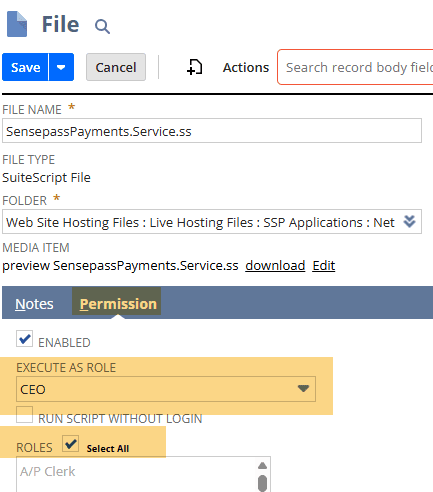 File with Permission tab indicating Execute as Role field.