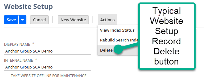 Website Setup Record delete button shown.