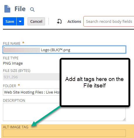 File page with Alt Image Tag field indicated.