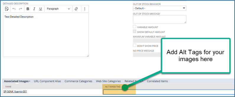 Detailed Description page with a field highlighted for alt tags.