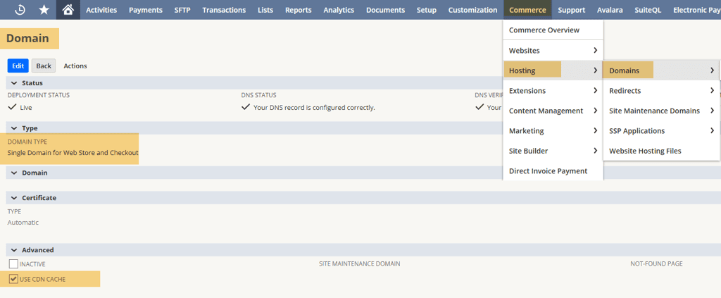Domain page with navigation shown, and the Domain Type and Use CDN Cache checkboxes highlighted.