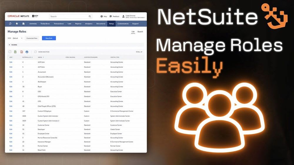 netsuite manage roles easily
