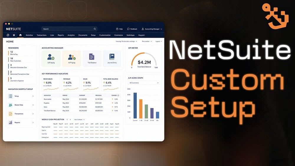 netsuite custom setup