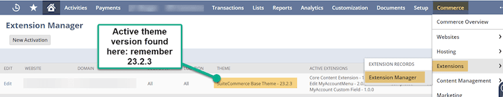 Extension Management Active SuiteCommerce Theme