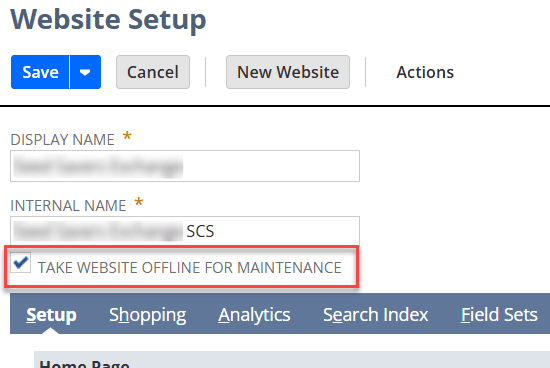 The browser displays the website setup page, showing options for configuration and customization.
