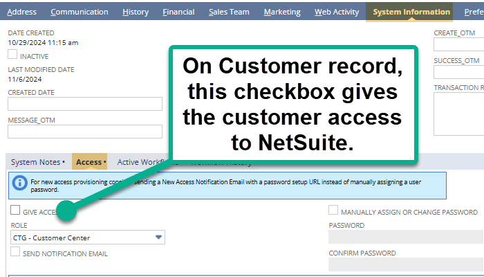 System Page tab on NetSuite, with a button showing On Customer record, this checkbox gives the customer access to NetSuite.