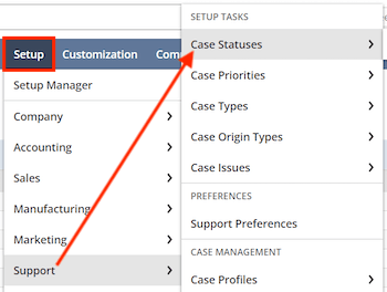 NetSuite Seup Support Case Statuses