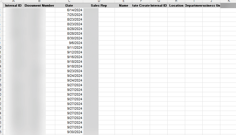 Initial CSV File with Blank Columns