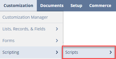Scripts NetSuite Navigation