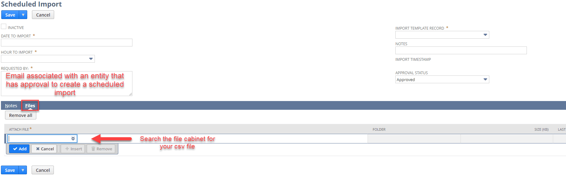 NetSuite New Scheduled Import Record