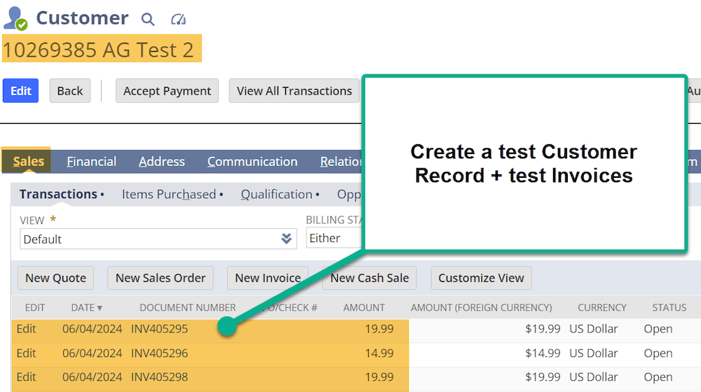 Create Text Customer and Invoices NetSuite